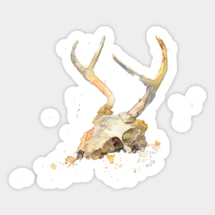 Deer Skull and Antlers Watercolor Sticker